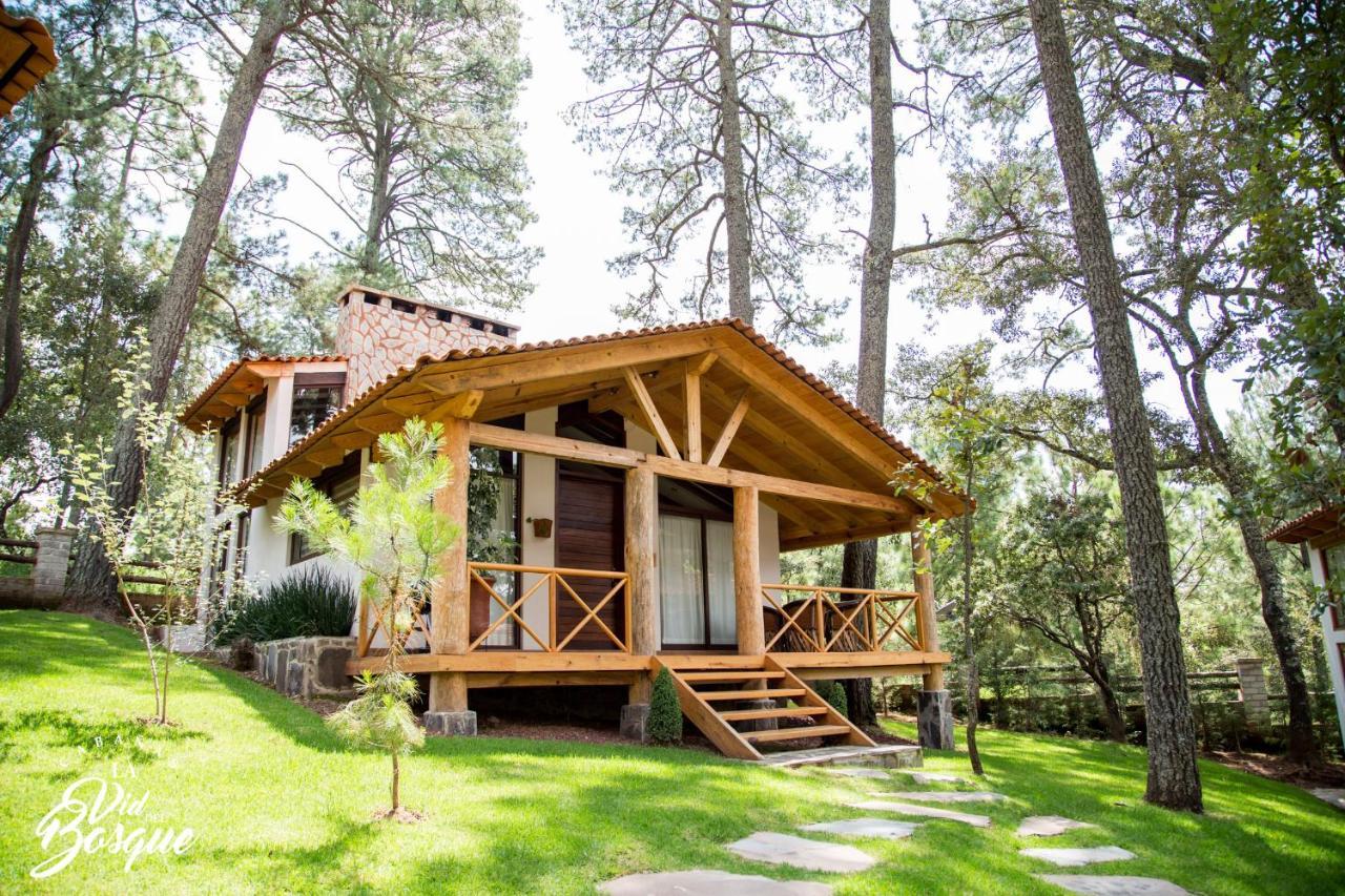 מלון טפאלפה Cabanas La Vid Del Bosque מראה חיצוני תמונה