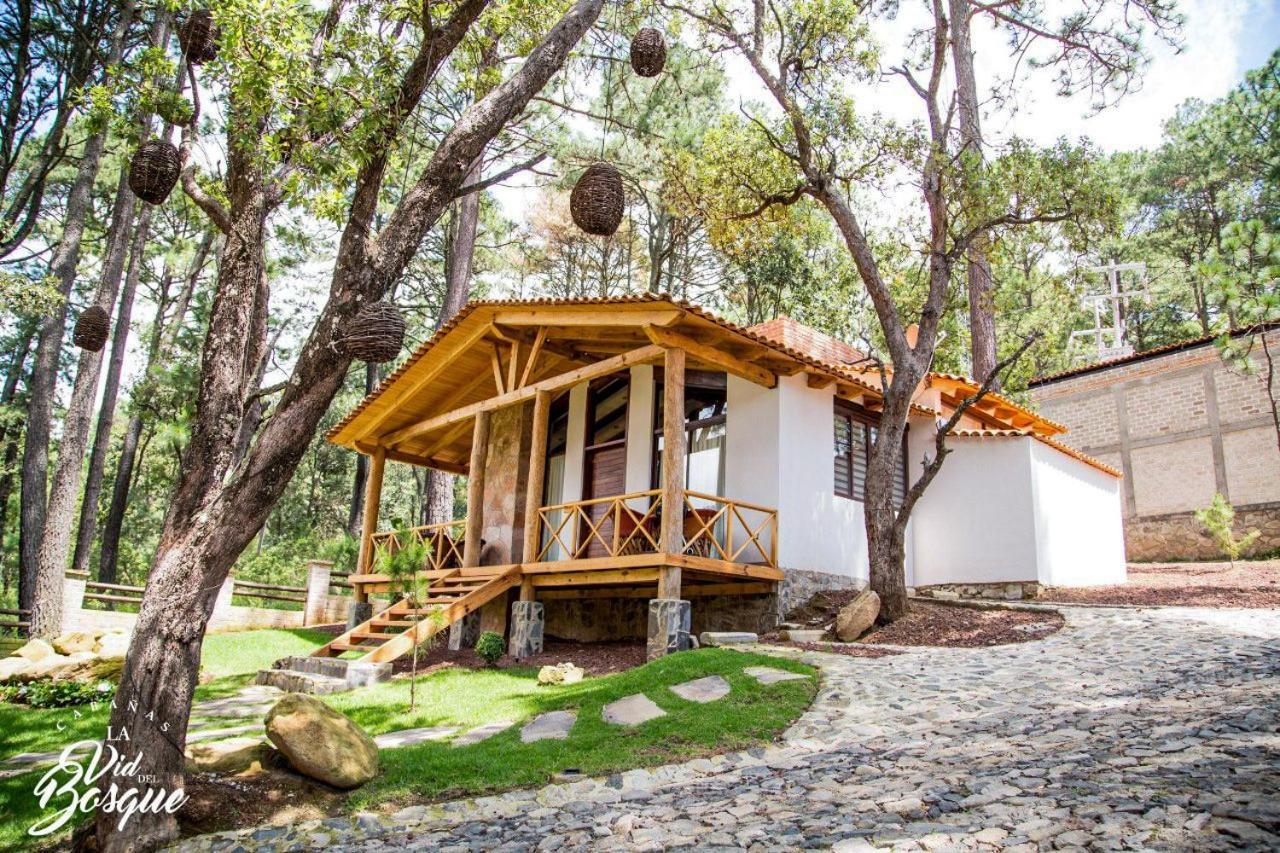 מלון טפאלפה Cabanas La Vid Del Bosque מראה חיצוני תמונה