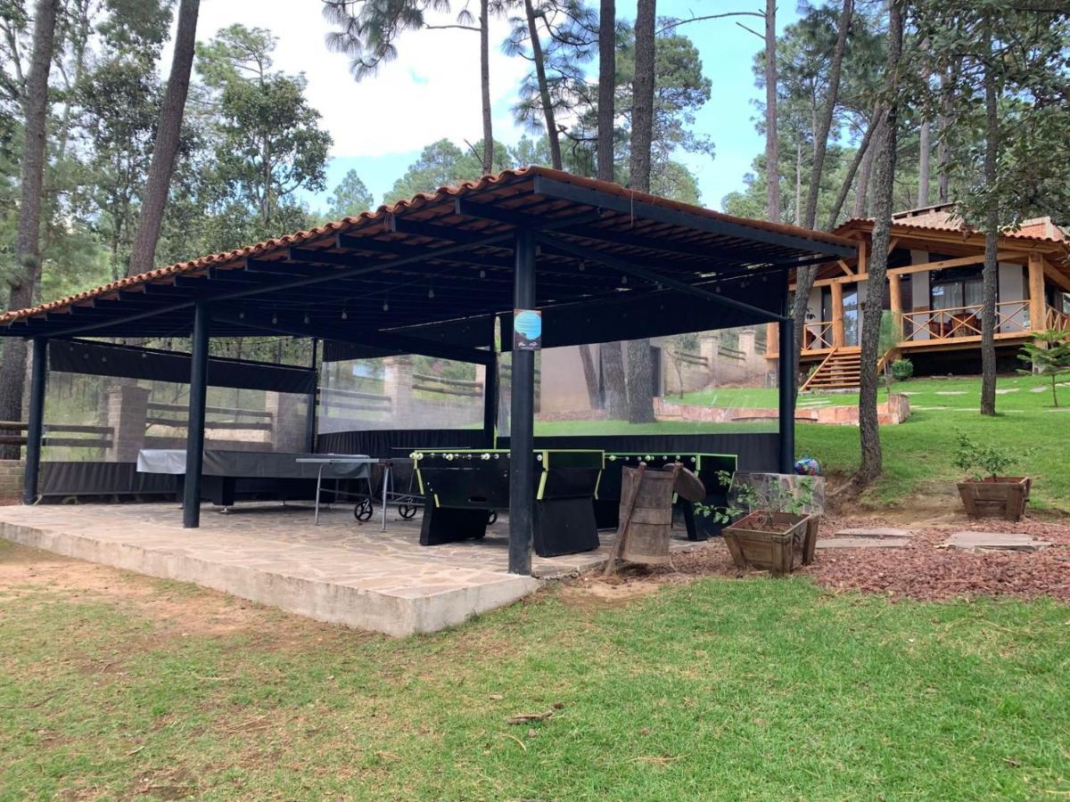 מלון טפאלפה Cabanas La Vid Del Bosque מראה חיצוני תמונה