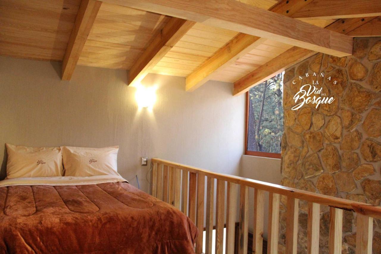 מלון טפאלפה Cabanas La Vid Del Bosque מראה חיצוני תמונה