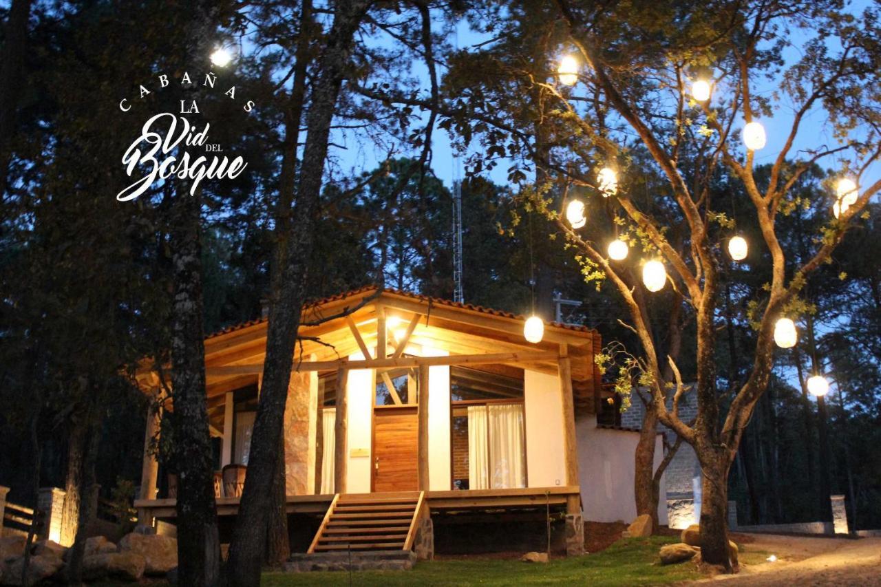 מלון טפאלפה Cabanas La Vid Del Bosque מראה חיצוני תמונה