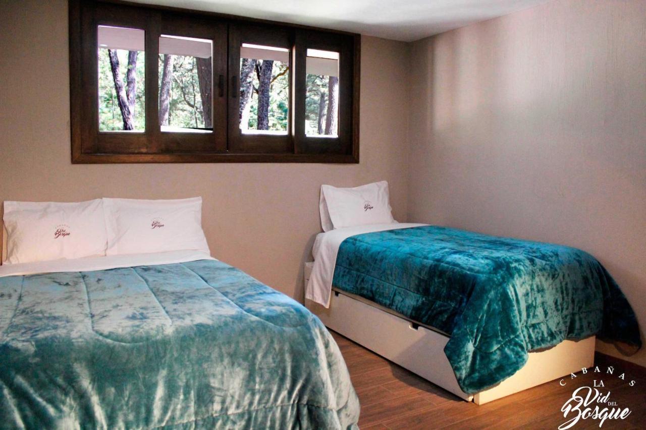 מלון טפאלפה Cabanas La Vid Del Bosque מראה חיצוני תמונה