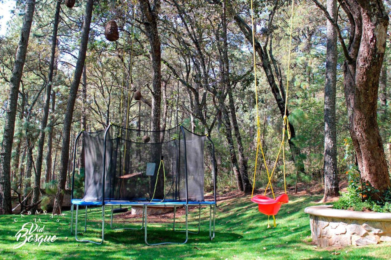 מלון טפאלפה Cabanas La Vid Del Bosque מראה חיצוני תמונה