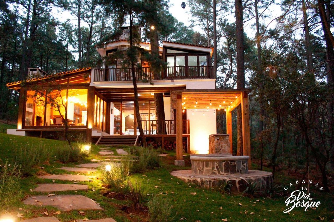 מלון טפאלפה Cabanas La Vid Del Bosque מראה חיצוני תמונה