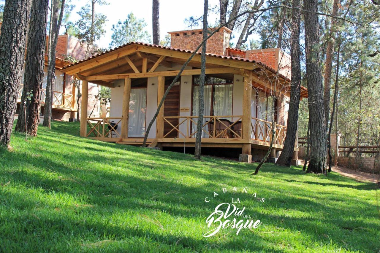 מלון טפאלפה Cabanas La Vid Del Bosque מראה חיצוני תמונה