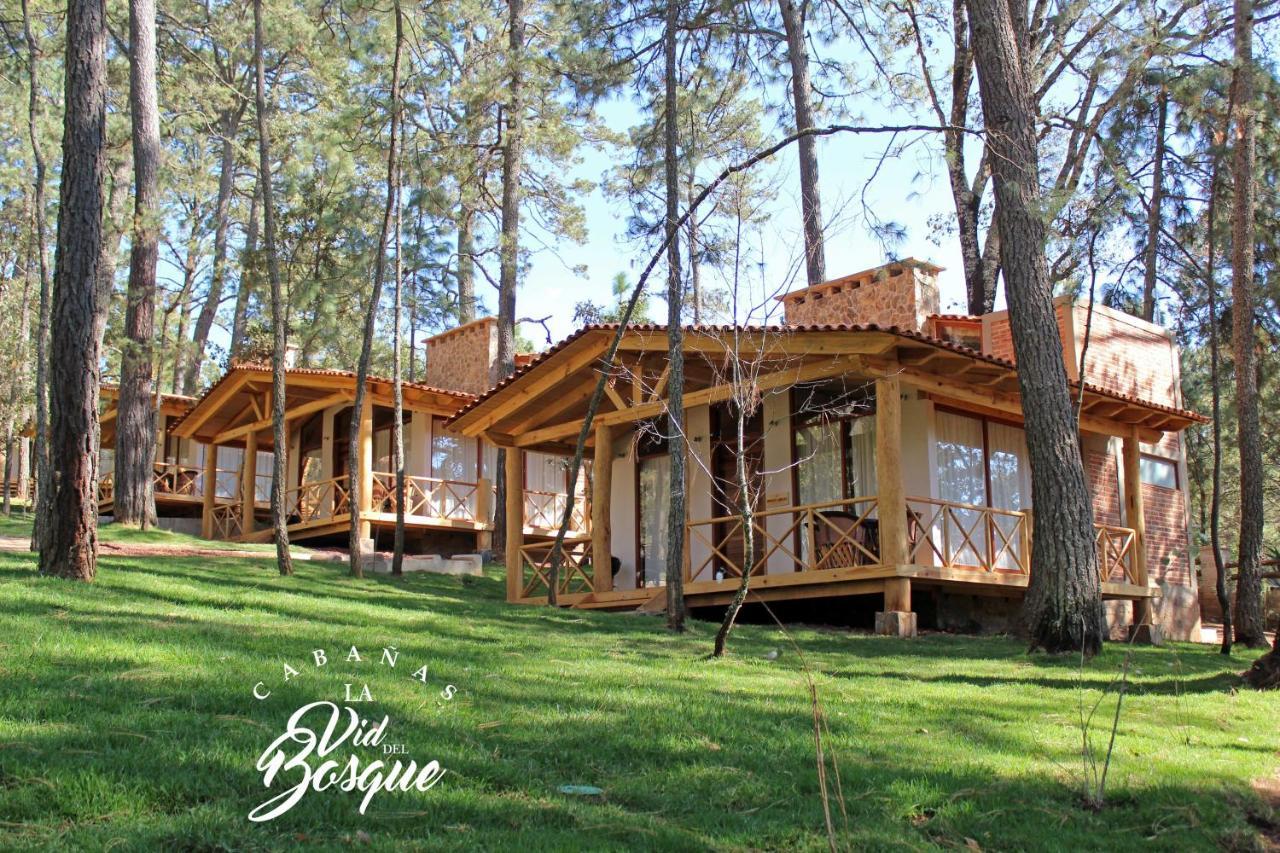 מלון טפאלפה Cabanas La Vid Del Bosque מראה חיצוני תמונה