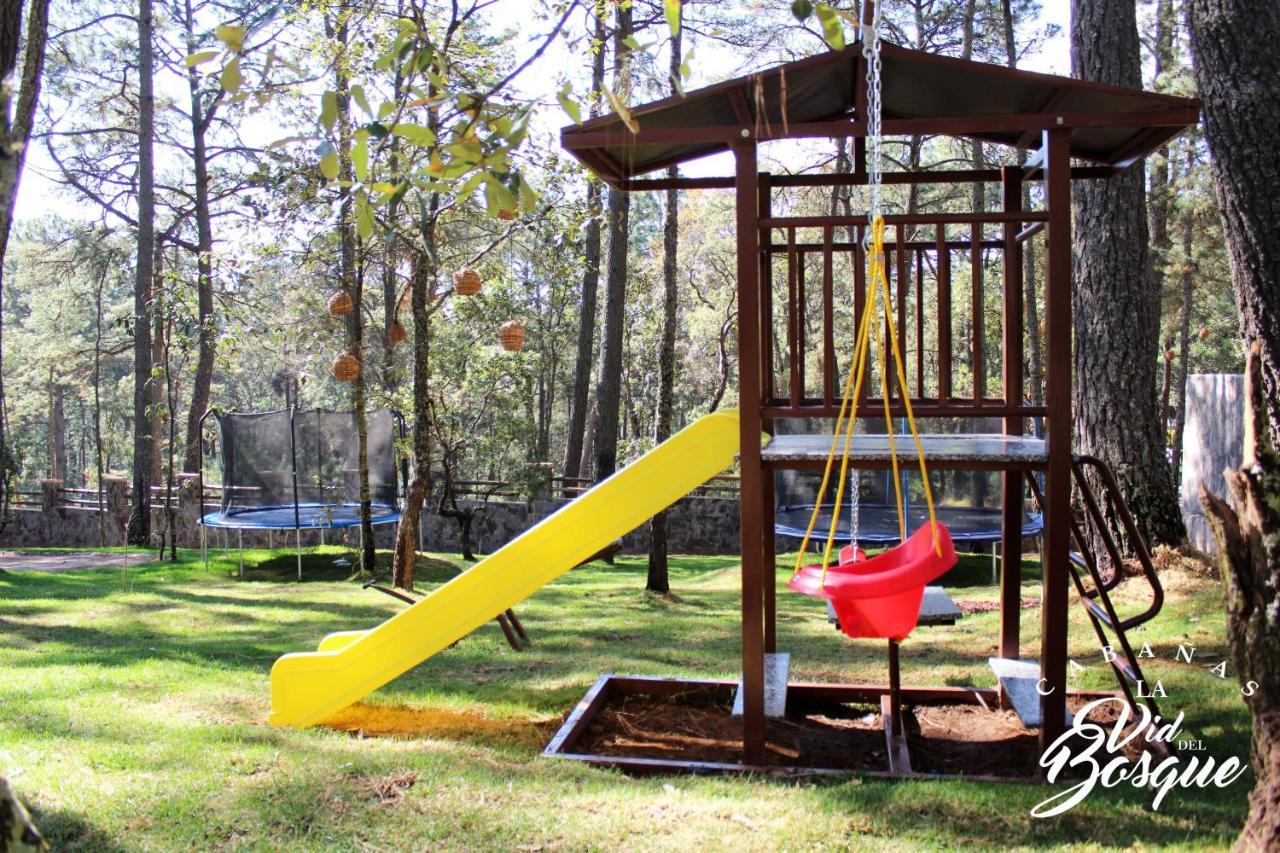 מלון טפאלפה Cabanas La Vid Del Bosque מראה חיצוני תמונה