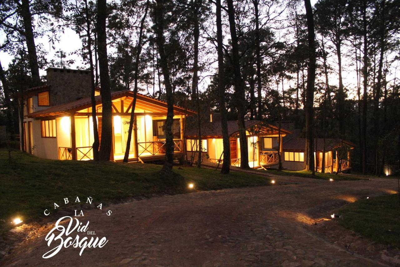 מלון טפאלפה Cabanas La Vid Del Bosque מראה חיצוני תמונה