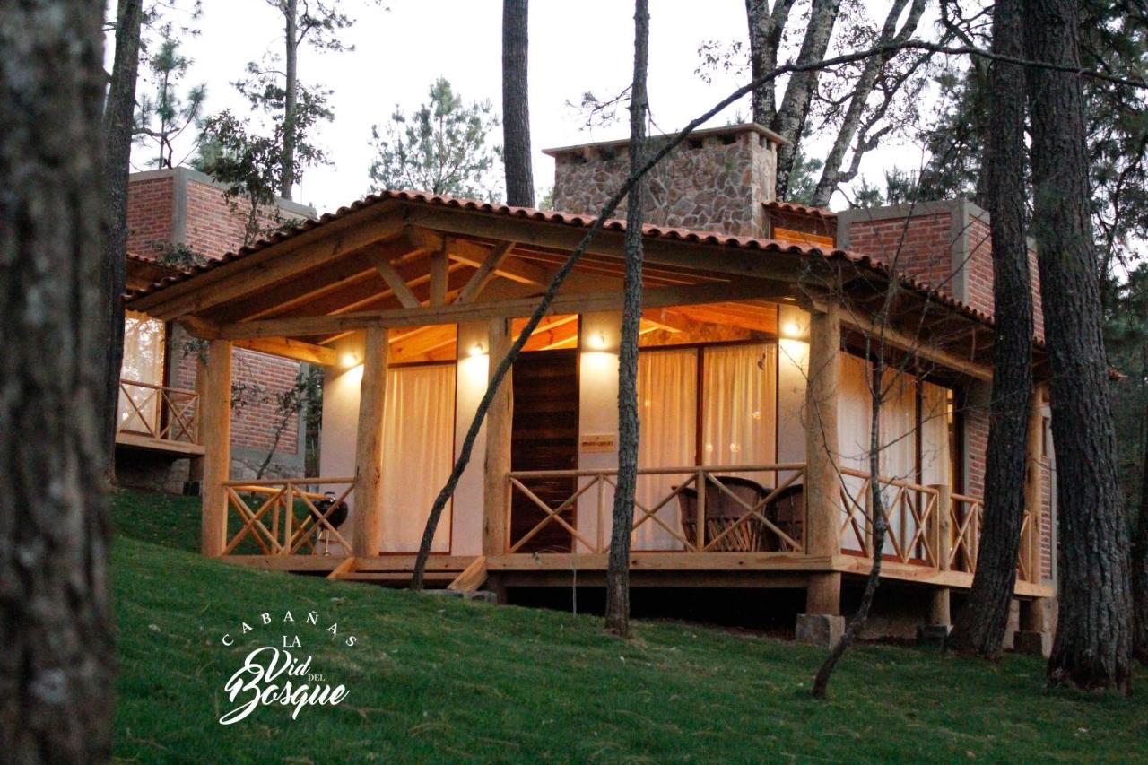 מלון טפאלפה Cabanas La Vid Del Bosque מראה חיצוני תמונה